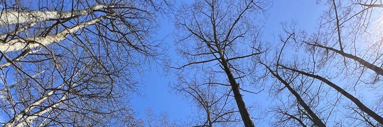 Jayette Bolinski banner