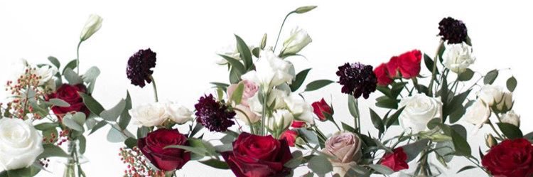 Bethany M. (Dorobiala) Peterson banner
