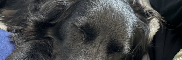 l_almaviva Profile Banner