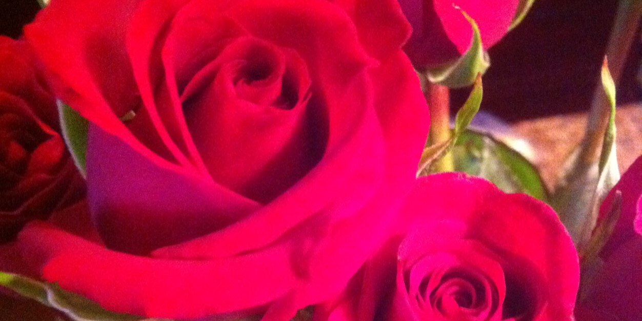 KateTBlank's profile banner image