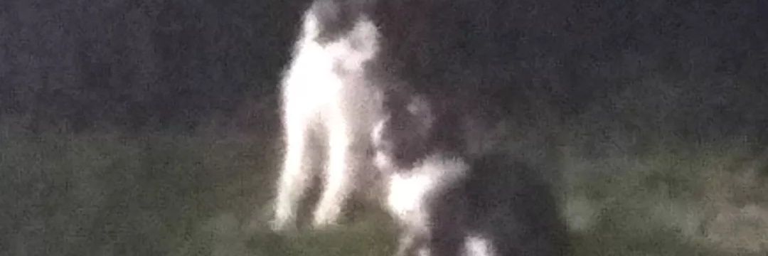 riv | no limit banner