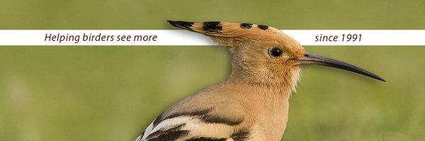 RareBirdAlertUK Profile Banner