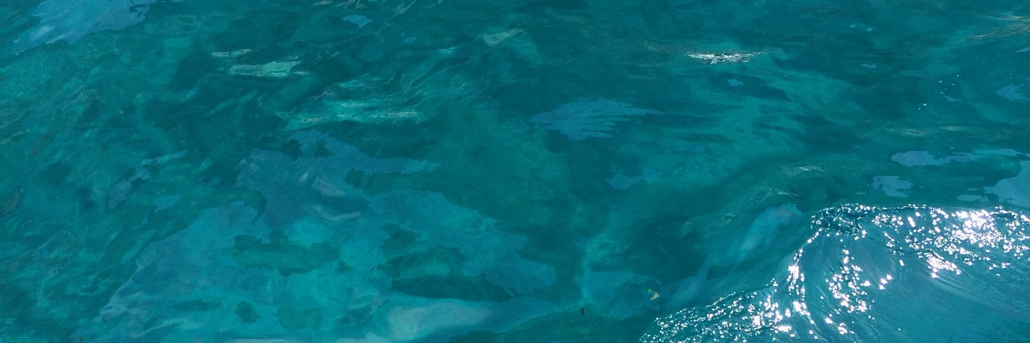 melissamtwitt's profile banner image