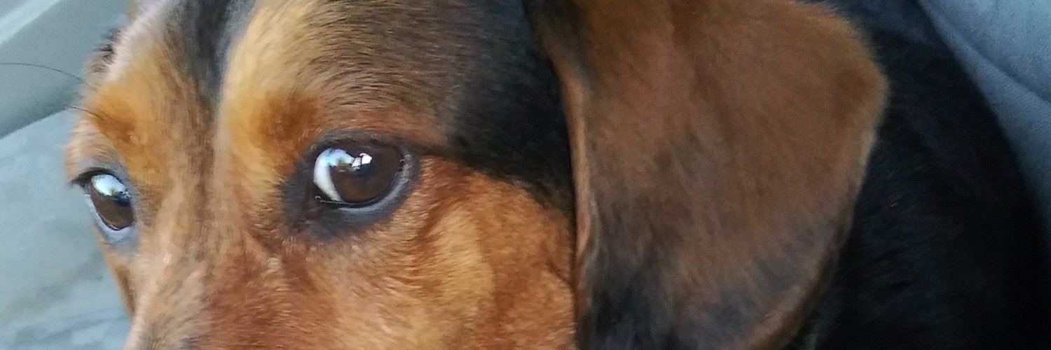 dwgoogs's profile banner image