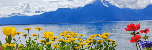 mannbhatt_3 Profile Banner