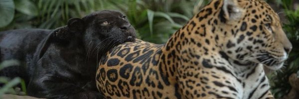daddysfavgirrl Profile Banner