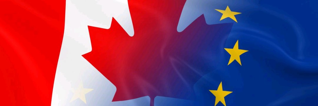 Roberta Maffettone banner