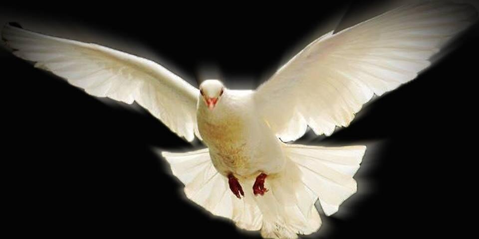 Pradika_ade's profile banner image