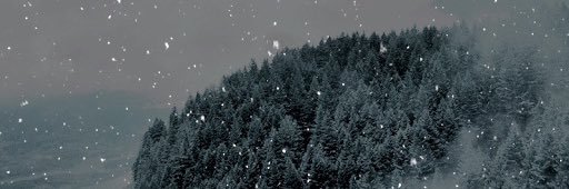 𝐵𝑙𝑜𝑛𝑑𝑖𝑒 * banner