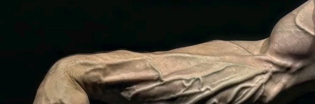 Moussaibnjafa's profile banner image