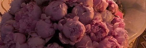 Falsuheel's profile banner image