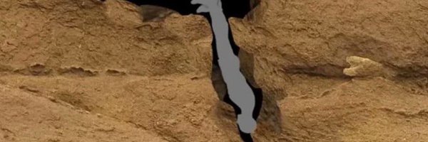 Left_Dpad Profile Banner