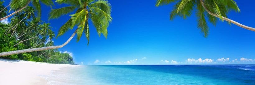 Tomoptimistic's profile banner image