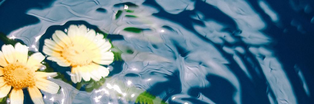 scolor00's profile banner image