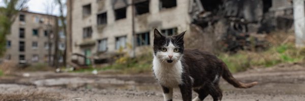 natemook Profile Banner