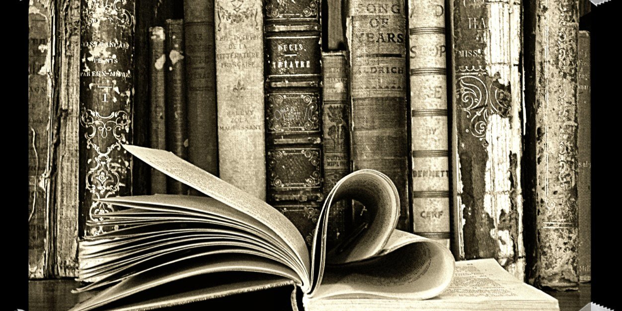 Merylibrarian's profile banner image