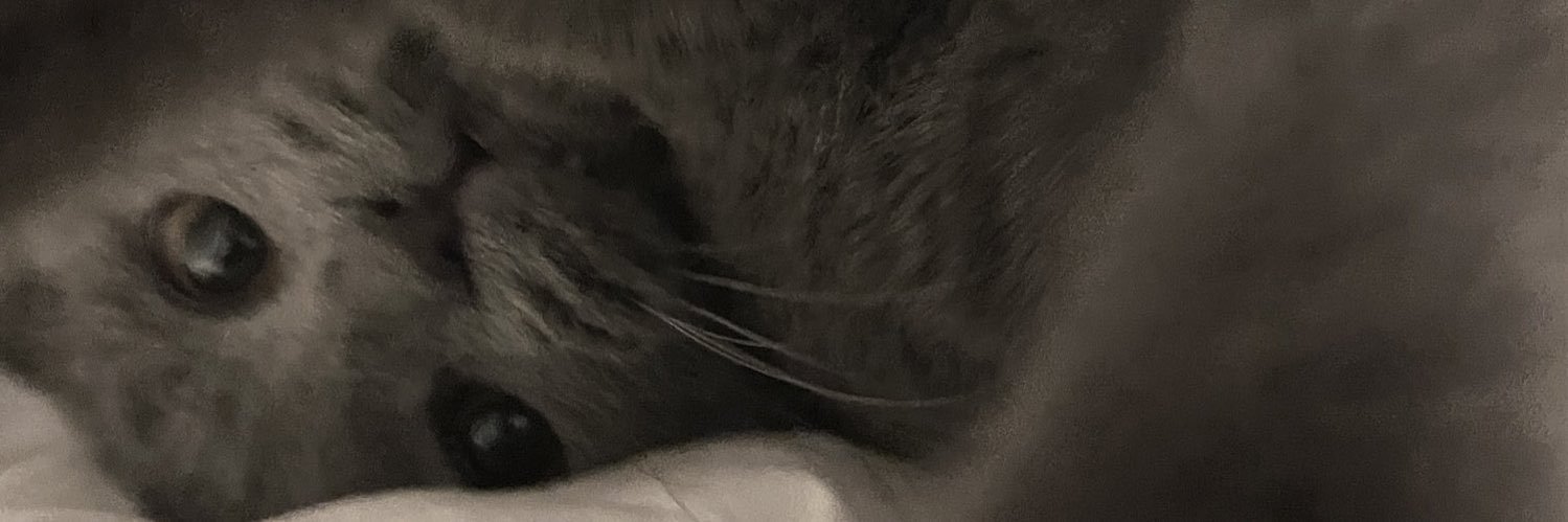 yhwe_'s profile banner image