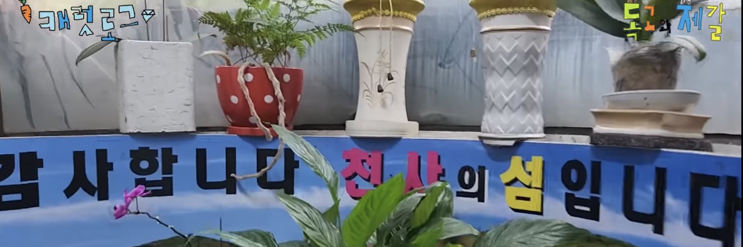 일사 banner