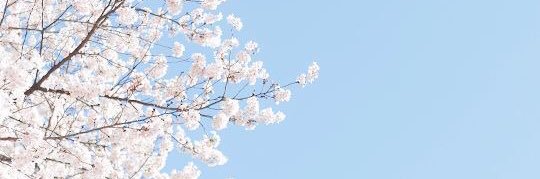 ᜊ( ' ⩊ ')ᜊ banner