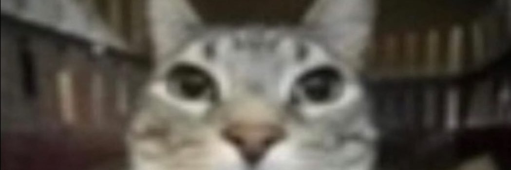 logan_22b's profile banner image