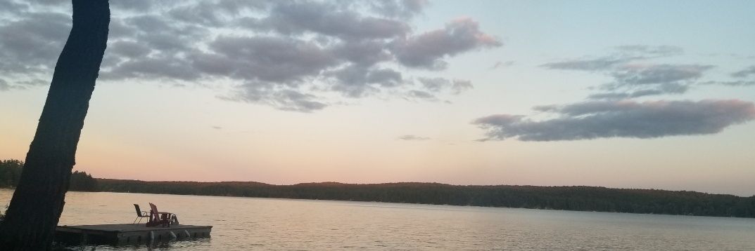 Junebugspitfire banner