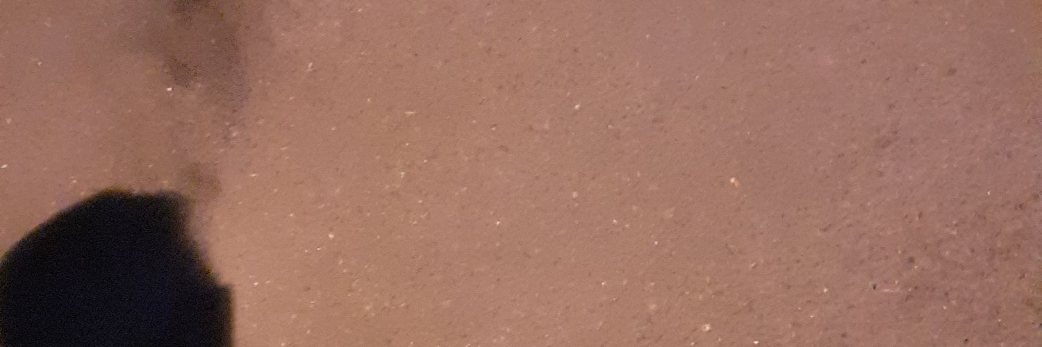 -rexxz- banner