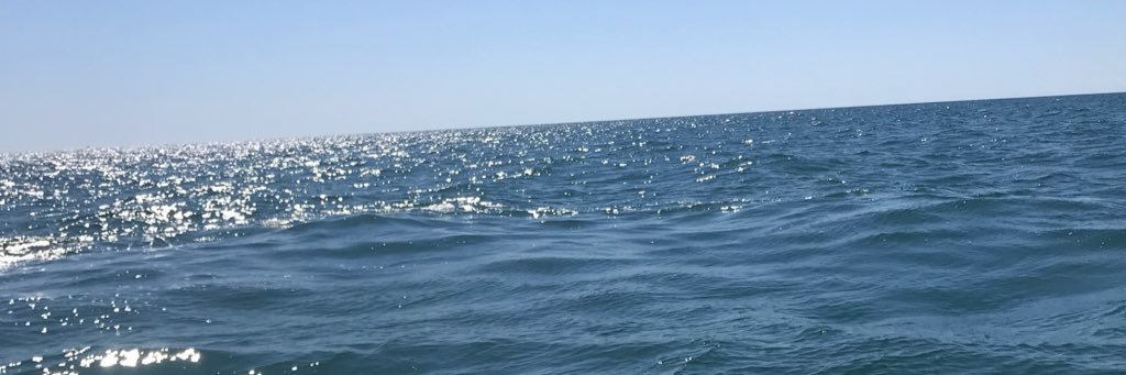 Neighborhood Candle Peddler 🥰 banner