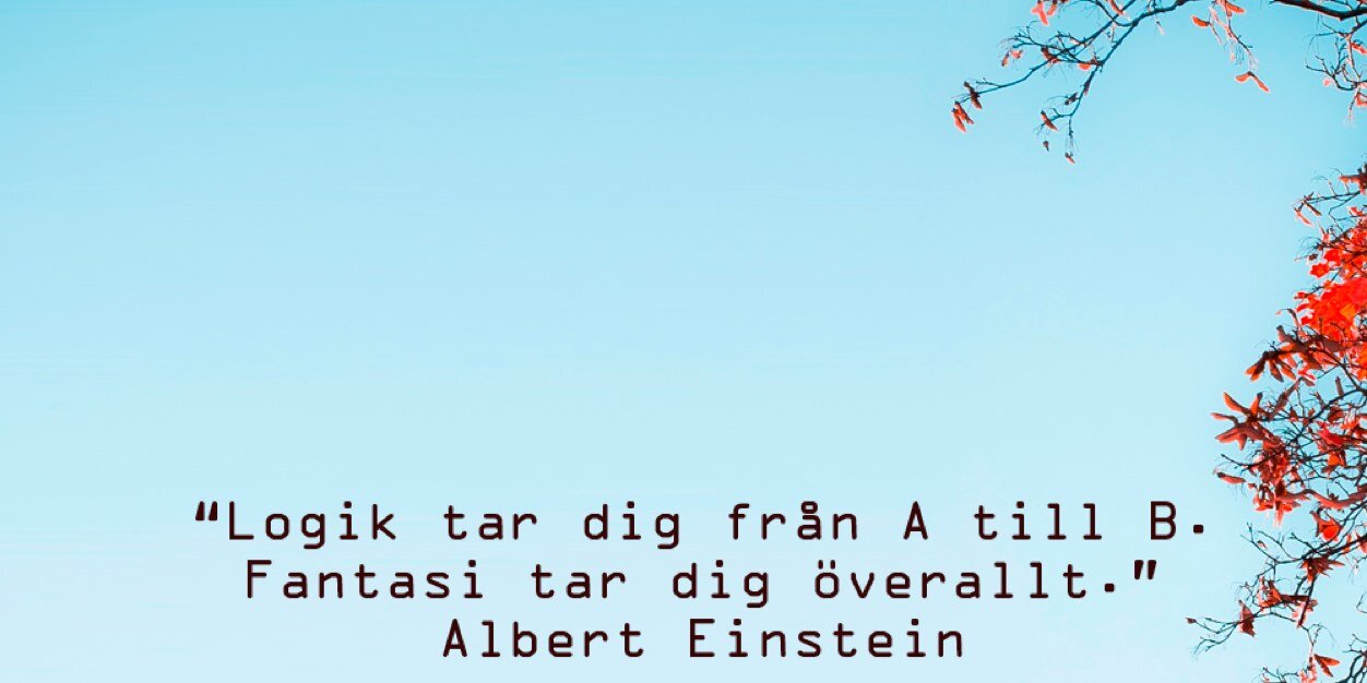 Linnea Lindau banner