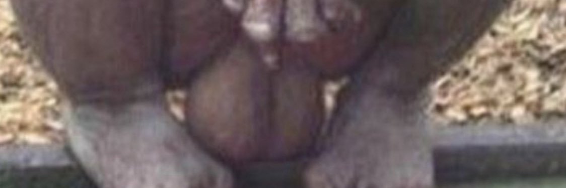 ericbeezy8796's profile banner image
