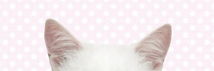 flvoriea's profile banner image