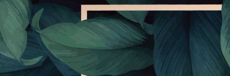 senrug's profile banner image