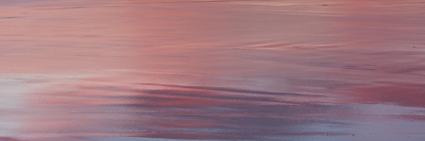 f banner