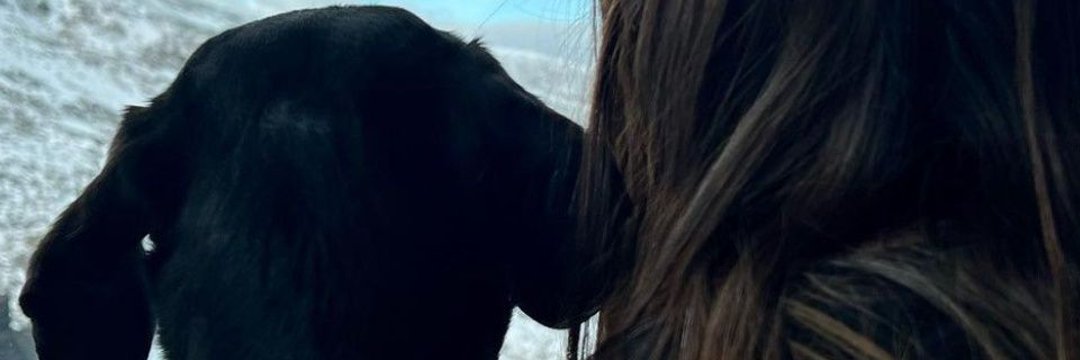 Bruni💐 banner
