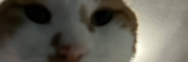 garfeddie Profile Banner
