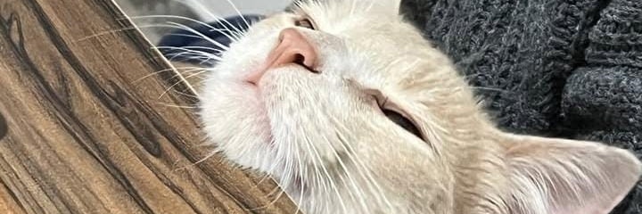 Mariaa_lopezz77's profile banner image