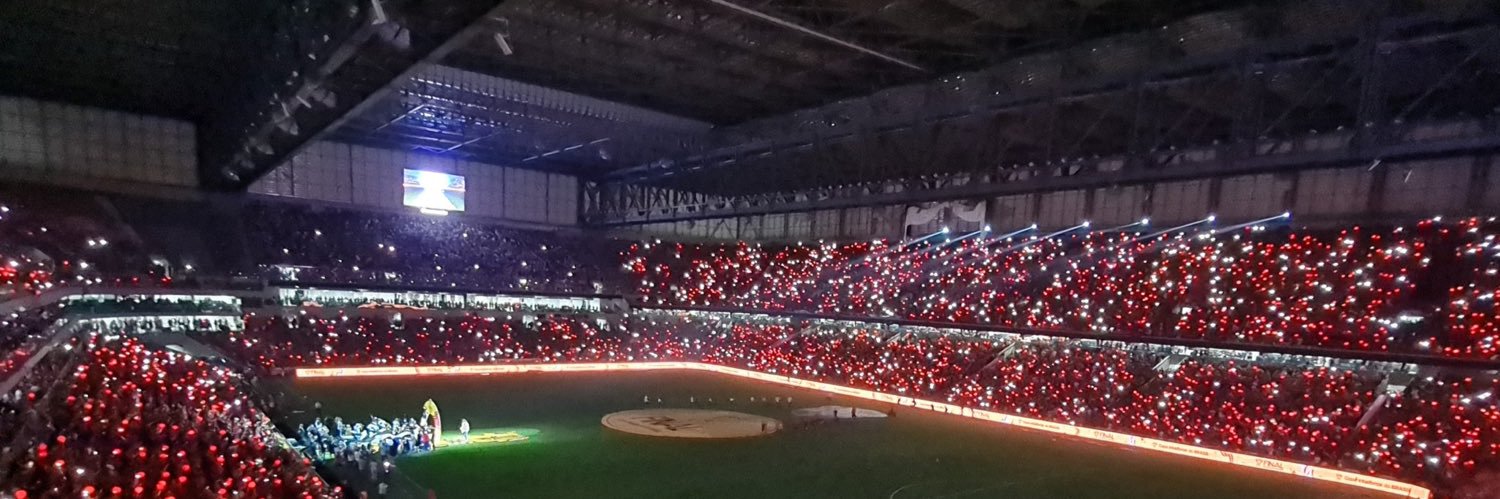 Pedro Domingues banner