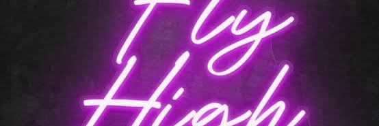 SouthSoloFlyer🚀 banner