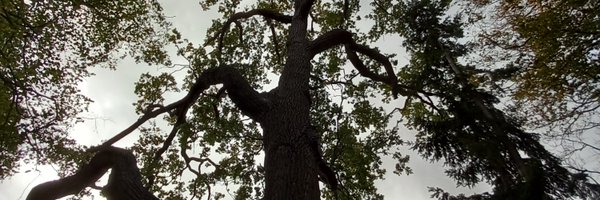 tan_till Profile Banner