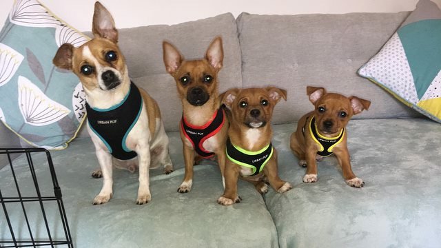 Nickimurphy25's profile banner image