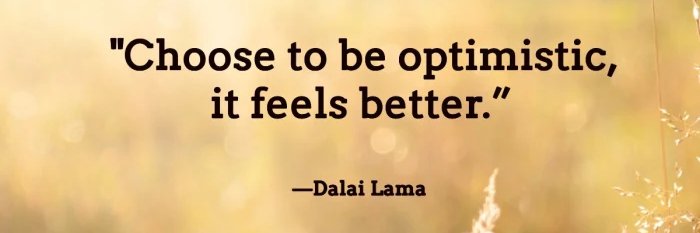 🦋SHAYA🦋 banner