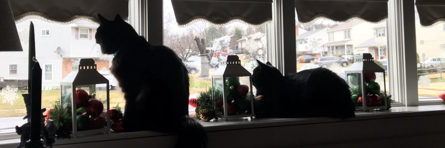 synnglemommm's profile banner image