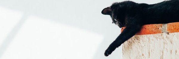 JessicaWong29 Profile Banner