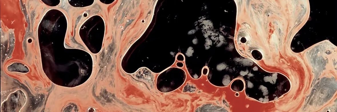 LouisBoi04's profile banner image