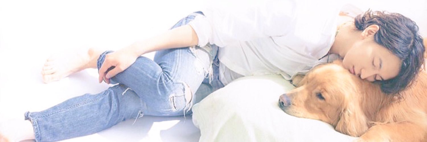 N... banner