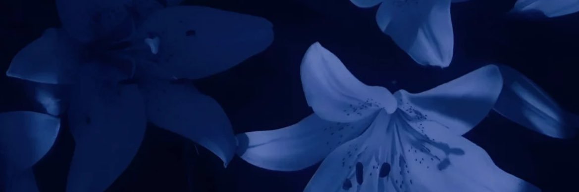 DOJALOGY's profile banner image