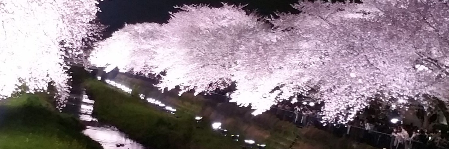 chibojks's profile banner image