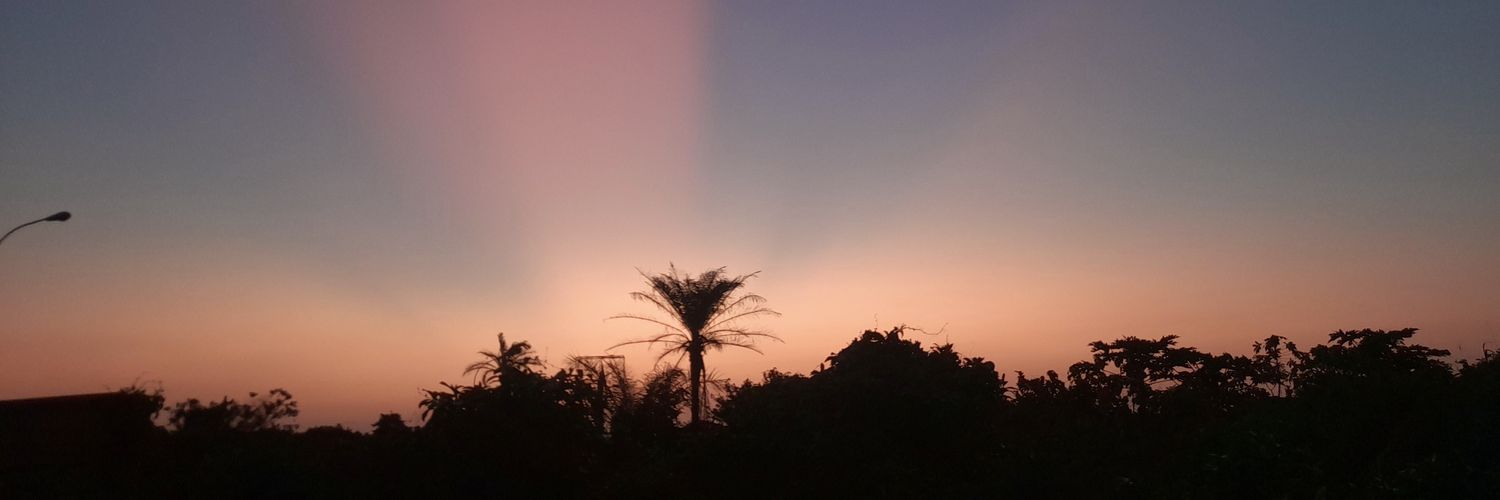0xEmphoenixx's profile banner image