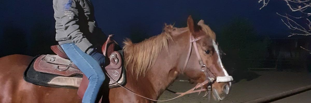 isabella363's profile banner image