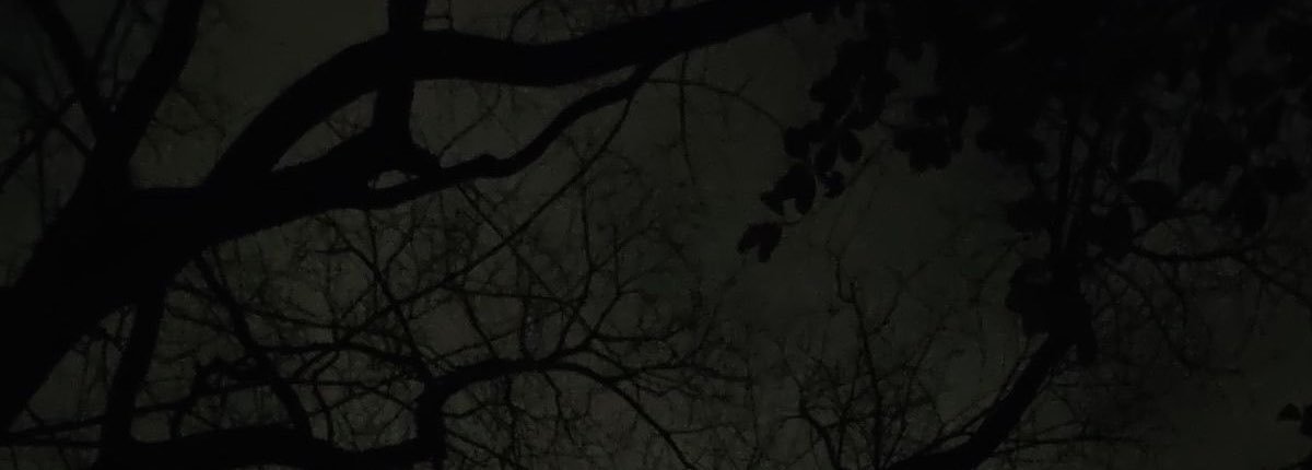 Togyuki's profile banner image