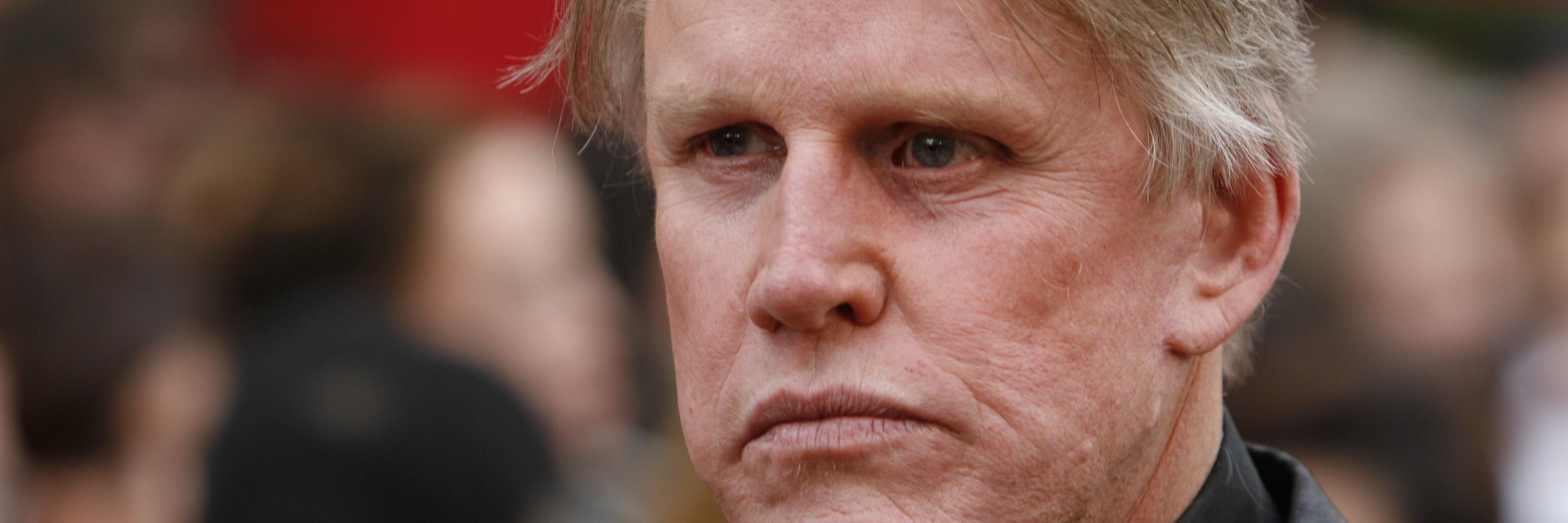 a cat in the bath banner